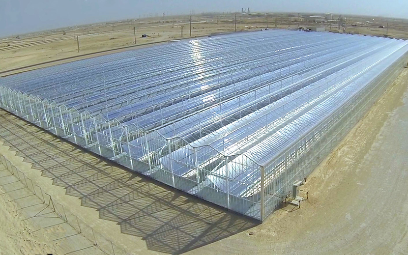 Solar EOR allows gas-importing oil producers to use valuable hydrocarbon resources in other sectors. Solar EOR allows gas-importing oil producers to use valuable hydrocarbon resources in other sectors.