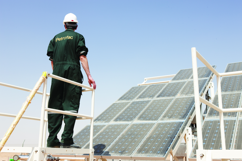 IPPs offer a quick solution for governments, and they now represent the majority of new capacity, continuing to replace government power plants. IPPs offer a quick solution for governments, and they now represent the majority of new capacity, continuing to replace government power plants.
