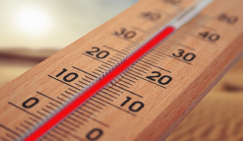 Climate change, Sustainability, SEC Climate change, Sustainability, SEC
